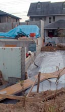 �S�̑��ł�