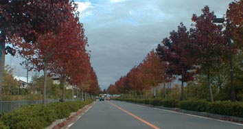 ���C���X�g���[�g�̍g�t