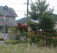 �g����y�n�h�̊����B