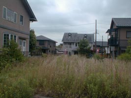 �X�n�B���ڂ��ڂ��ł�