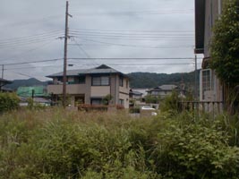 ��͂葐�ڂ��ڂ��ł�